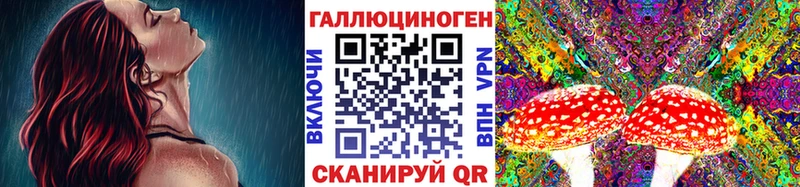 ссылка на мегу ТОР  мориарти как зайти  Галлюциногенные грибы мицелий  Стародуб 